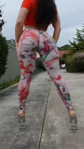 18228178