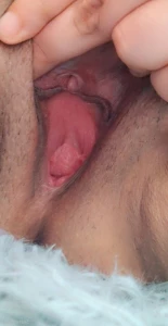 16017494
