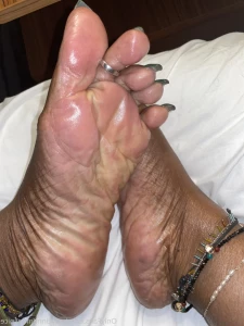 16217604