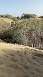 sexyhungmen Onlyfans leaked video 18228573 on Hotleaks.tv