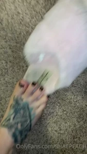 Shae [ shaepeach ] Onlyfans leaked video 7966890 on Hotleaks.tv