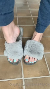 7966961