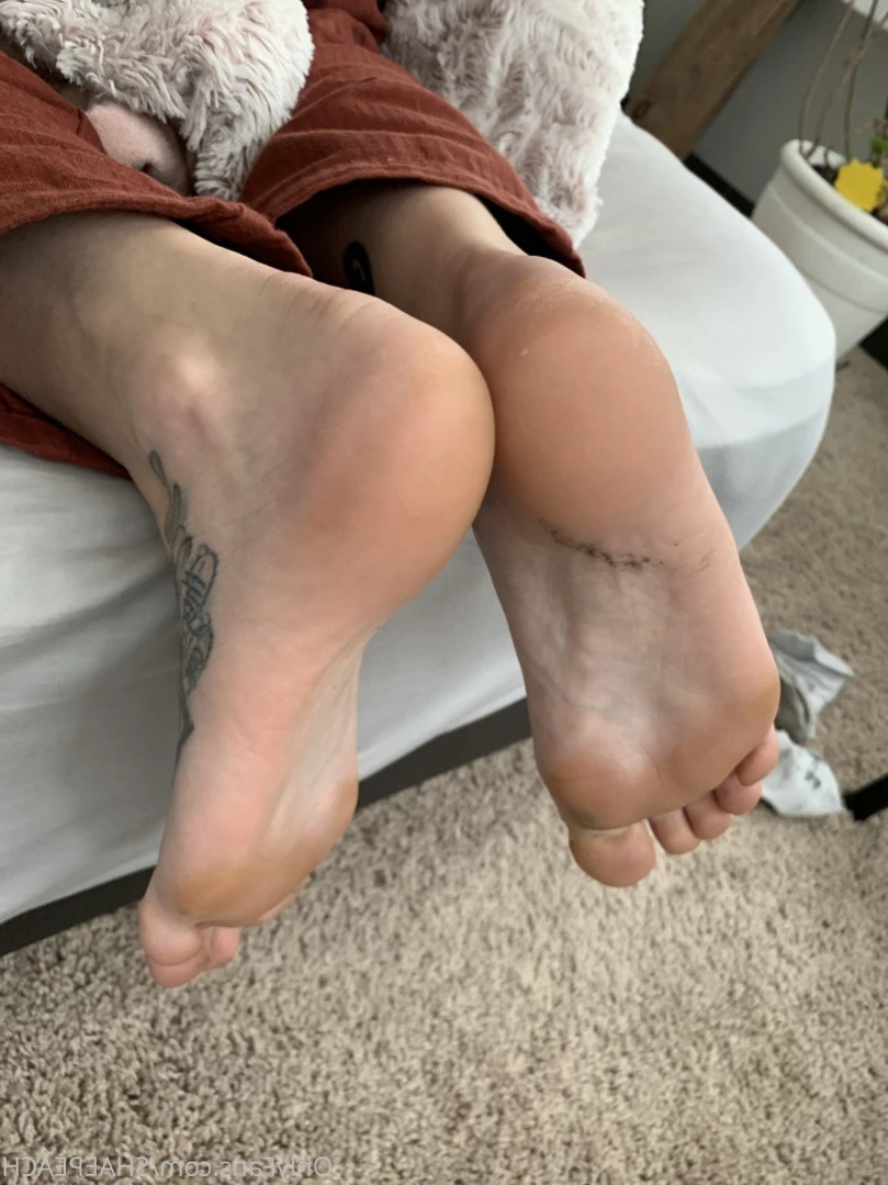 Shae [ shaepeach ] Onlyfans leaked photo 10952585 on Hotleaks.tv