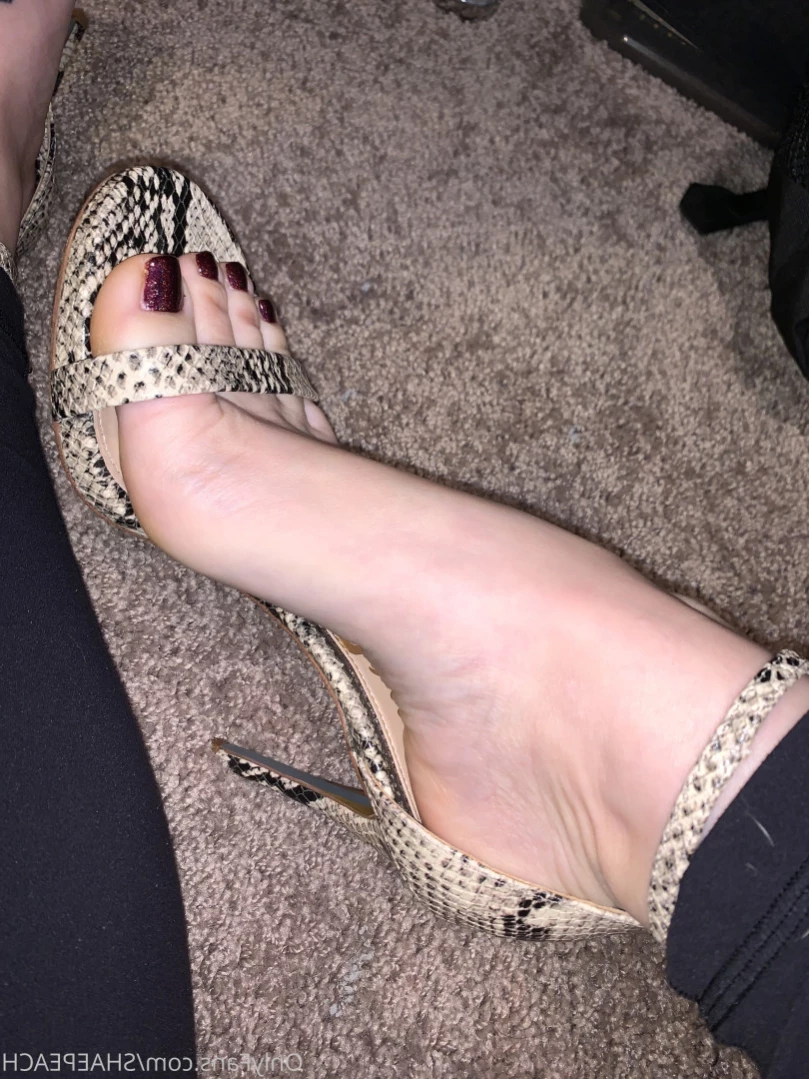 Shae [ shaepeach ] Onlyfans leaked photo 12011025 on Hotleaks.tv