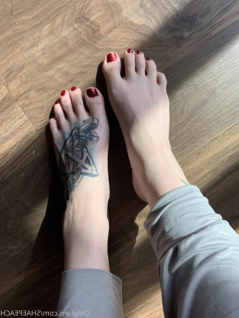 Shae [ shaepeach ] Onlyfans leaked photo 12115827 on Hotleaks.tv