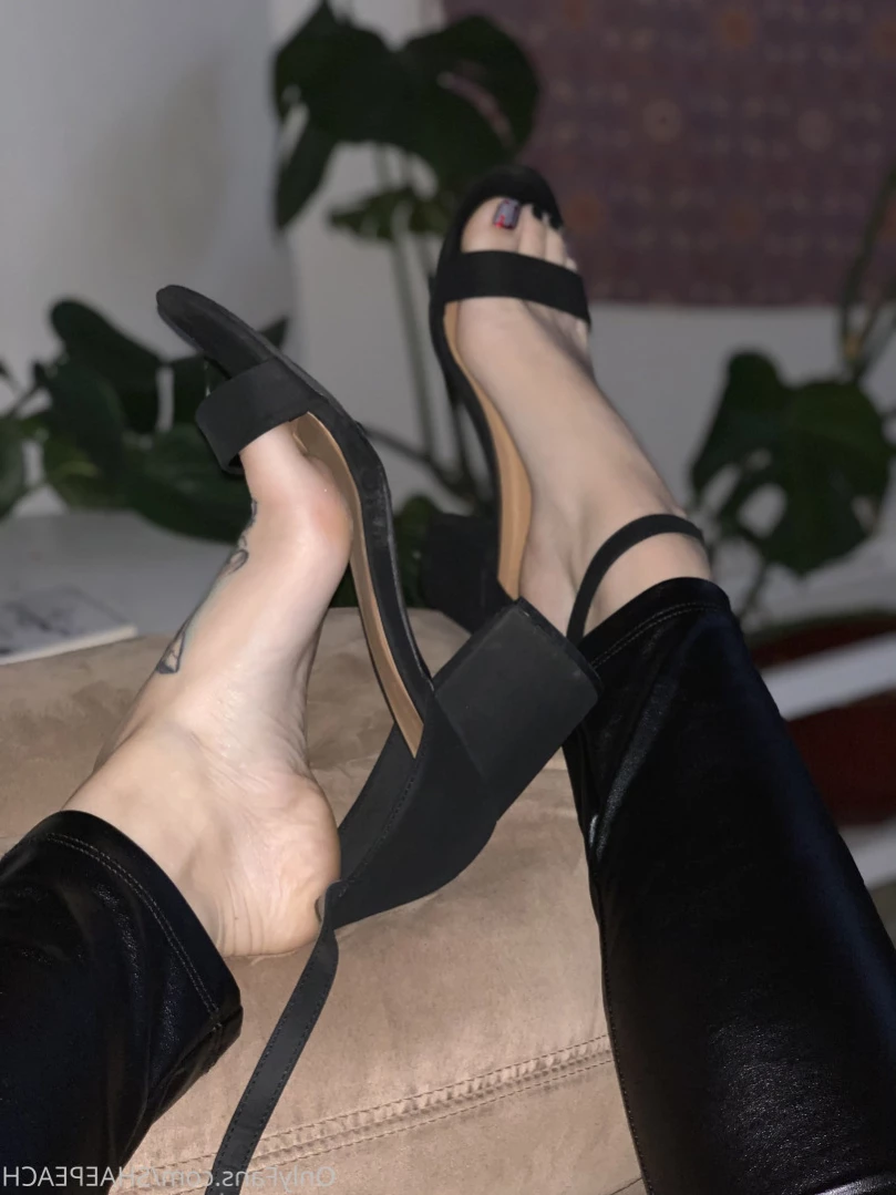 Shae [ shaepeach ] Onlyfans leaked photo 12194717 on Hotleaks.tv