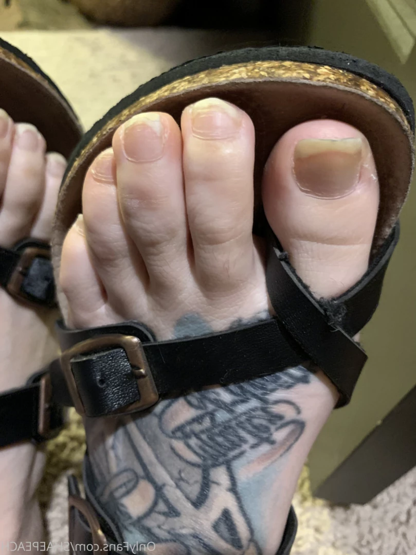 Shae [ shaepeach ] Onlyfans leaked photo 12628678 on Hotleaks.tv
