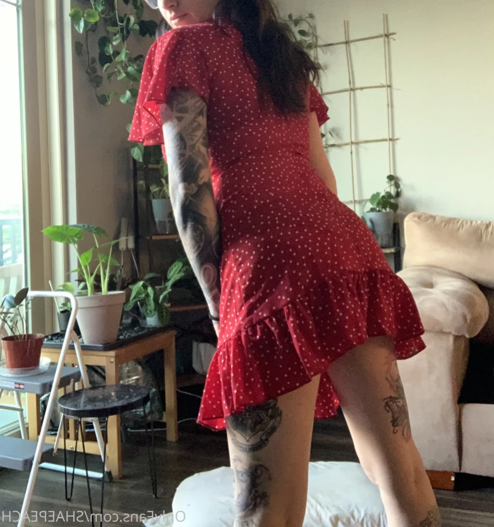 Shae [ shaepeach ] Onlyfans leaked photo 12632204 on Hotleaks.tv