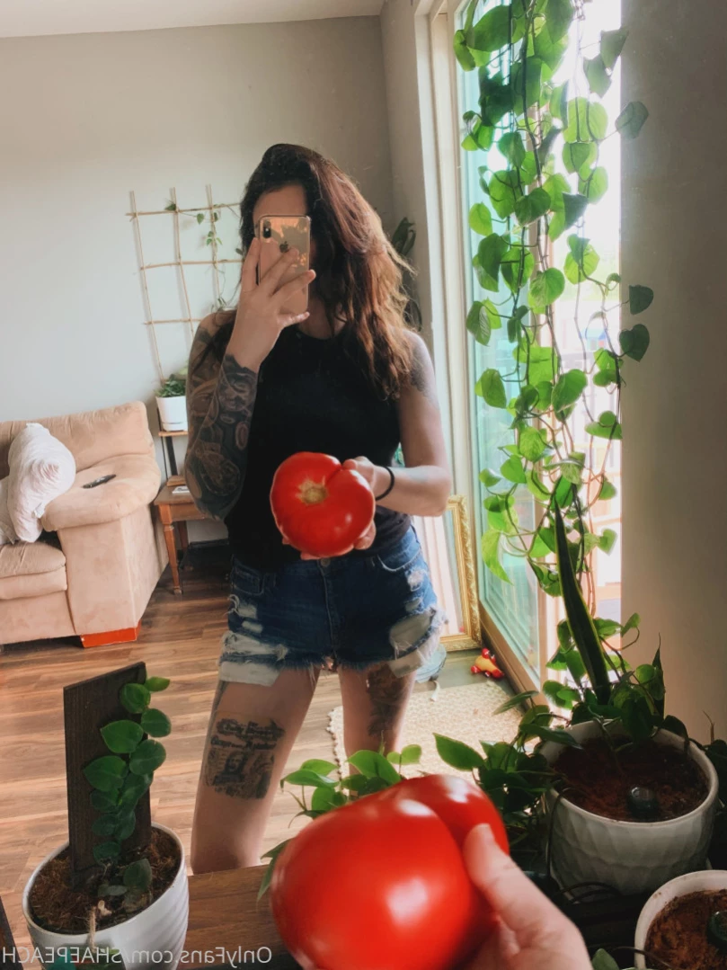 Shae [ shaepeach ] Onlyfans leaked photo 12632322 on Hotleaks.tv