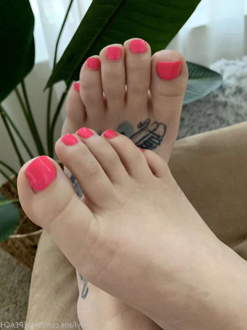 Shae [ shaepeach ] Onlyfans leaked photo 12637917 on Hotleaks.tv
