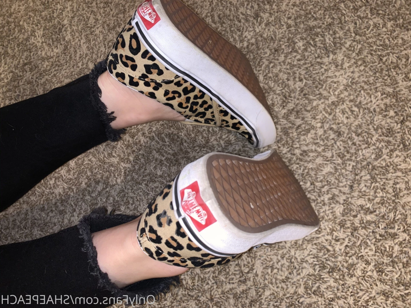 Shae [ shaepeach ] Onlyfans leaked photo 12868329 on Hotleaks.tv
