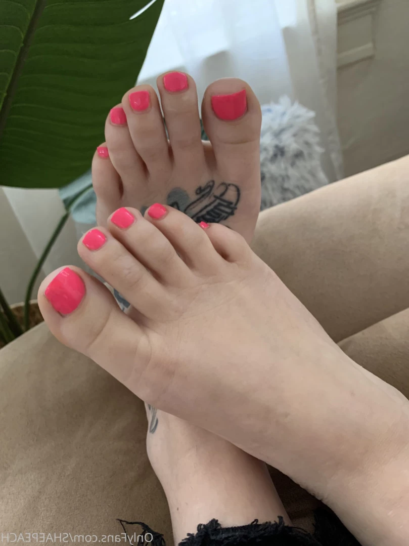 Shae [ shaepeach ] Onlyfans leaked photo 13204852 on Hotleaks.tv