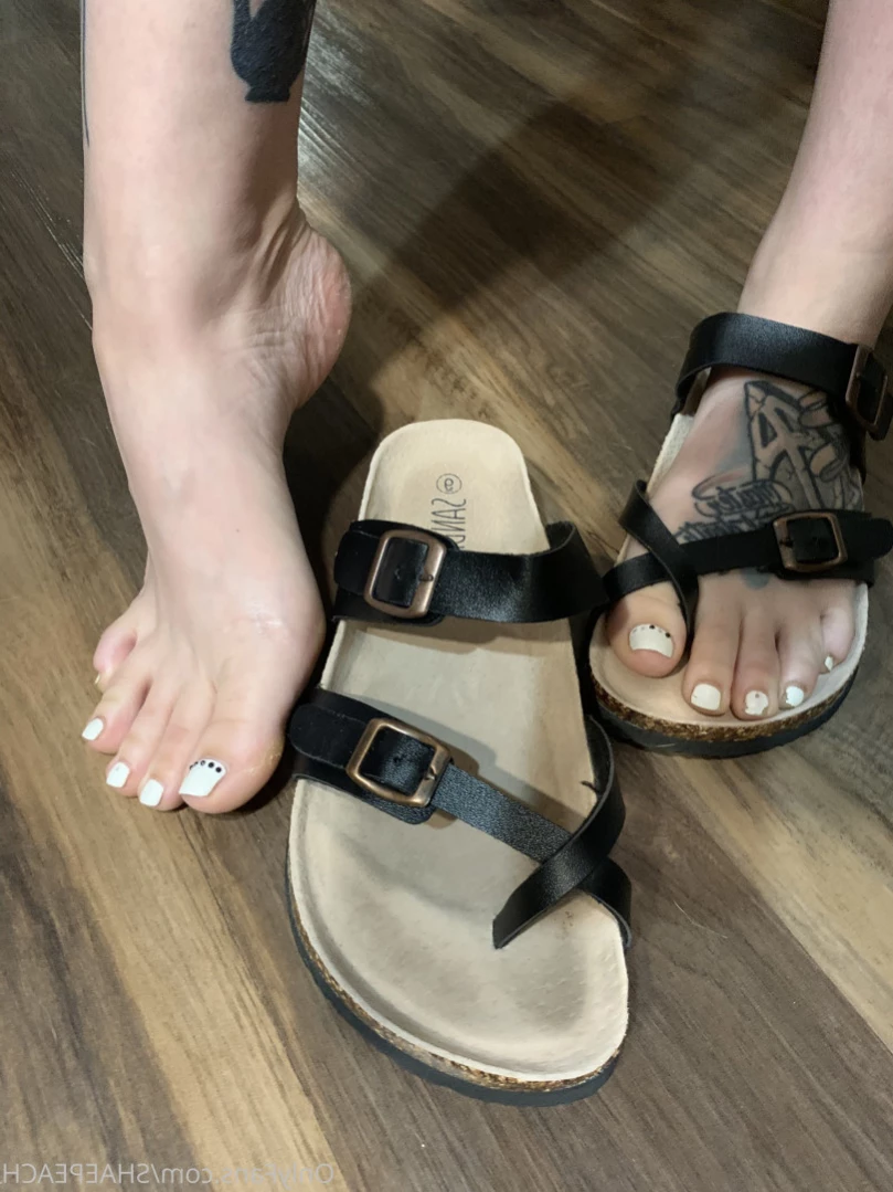 Shae [ shaepeach ] Onlyfans leaked photo 13566167 on Hotleaks.tv