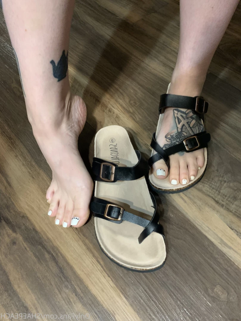 Shae [ shaepeach ] Onlyfans leaked photo 13567057 on Hotleaks.tv