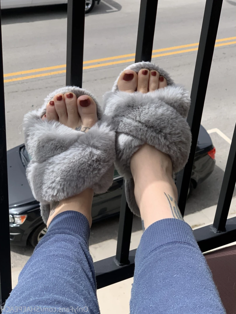 Shae [ shaepeach ] Onlyfans leaked photo 13694729 on Hotleaks.tv