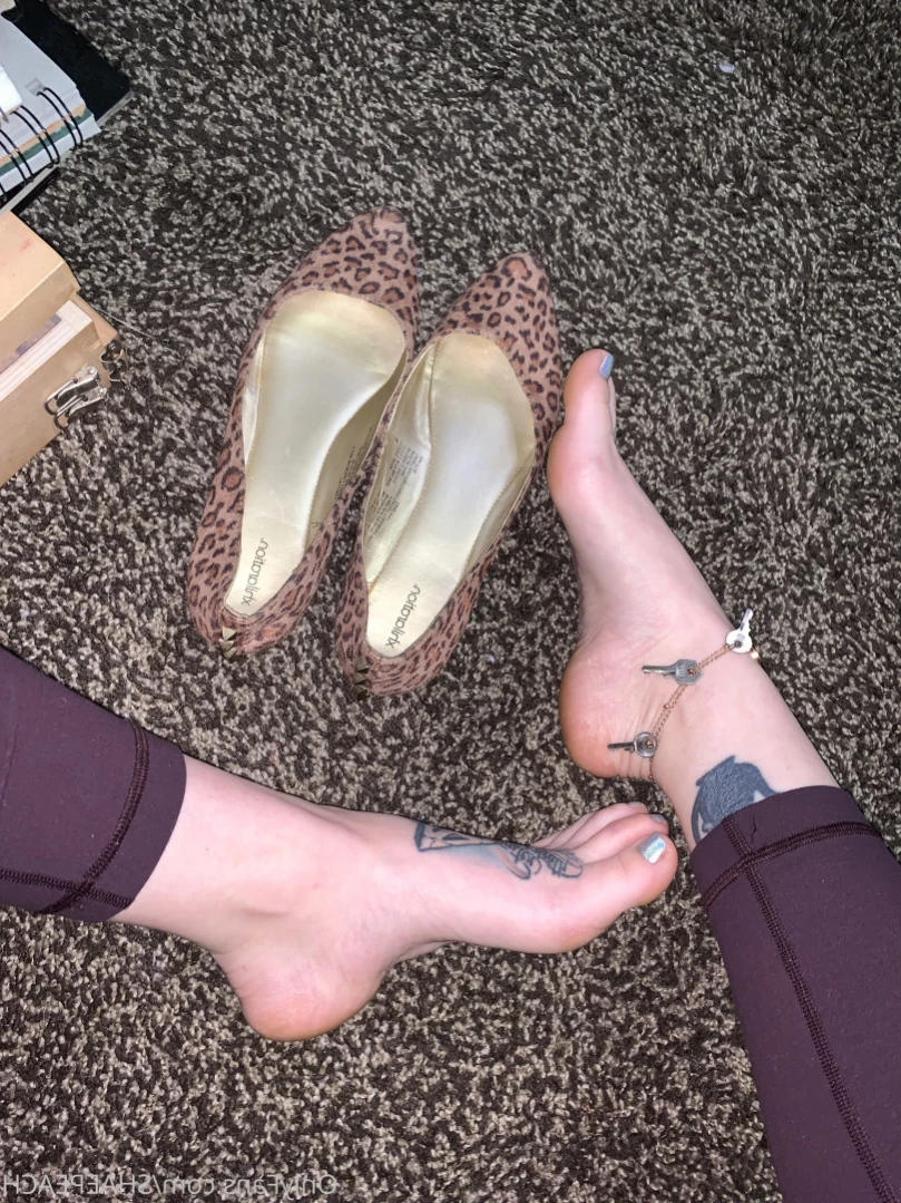 Shae [ shaepeach ] Onlyfans leaked photo 13807695 on Hotleaks.tv
