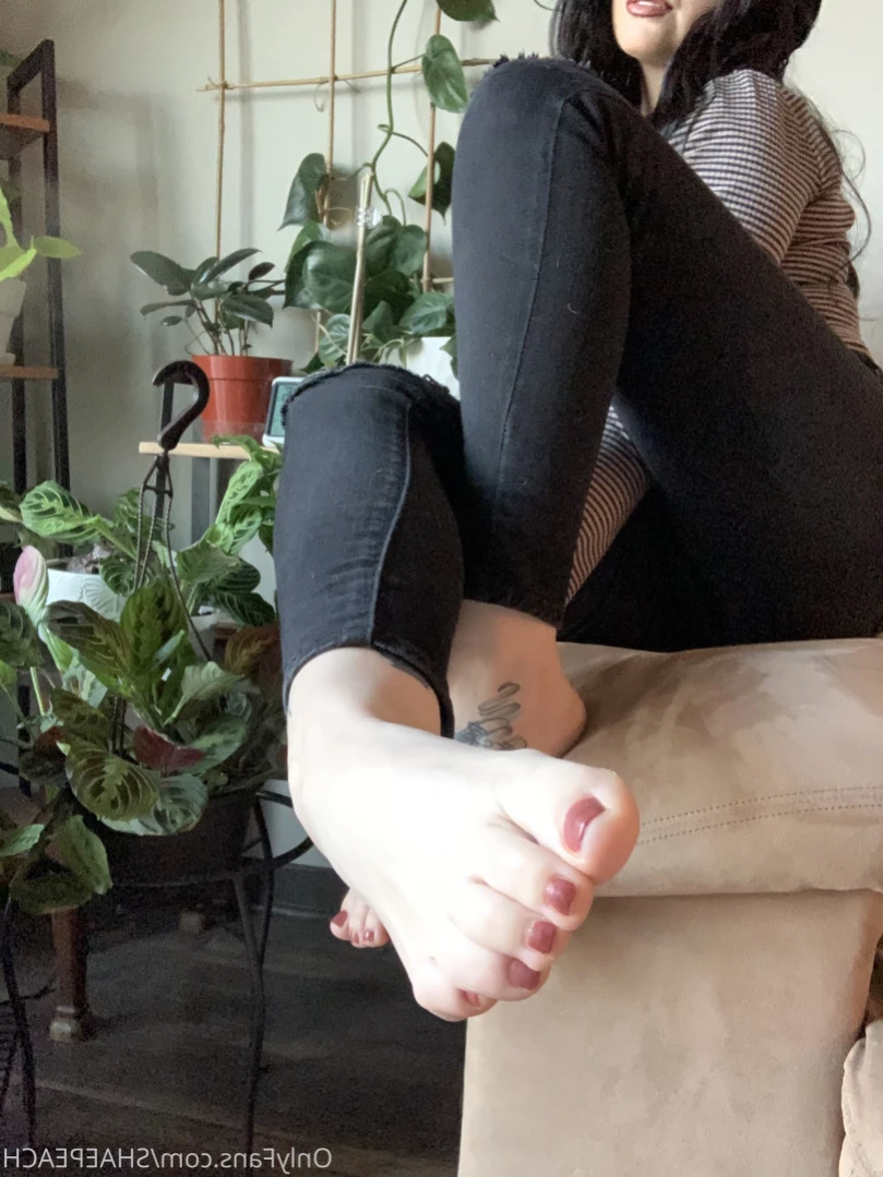 Shae [ shaepeach ] Onlyfans leaked photo 14299937 on Hotleaks.tv
