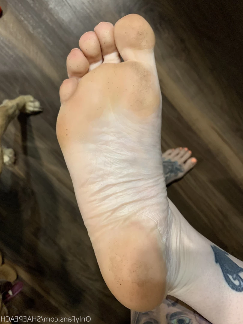 Shae [ shaepeach ] Onlyfans leaked photo 14913847 on Hotleaks.tv