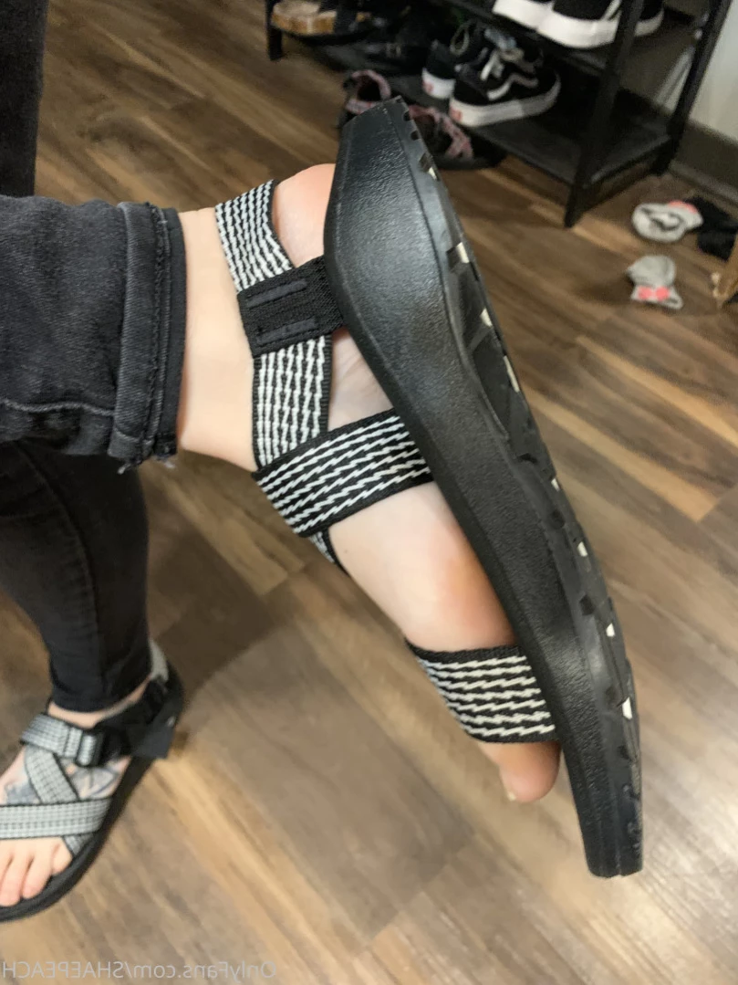 Shae [ shaepeach ] Onlyfans leaked photo 15327771 on Hotleaks.tv