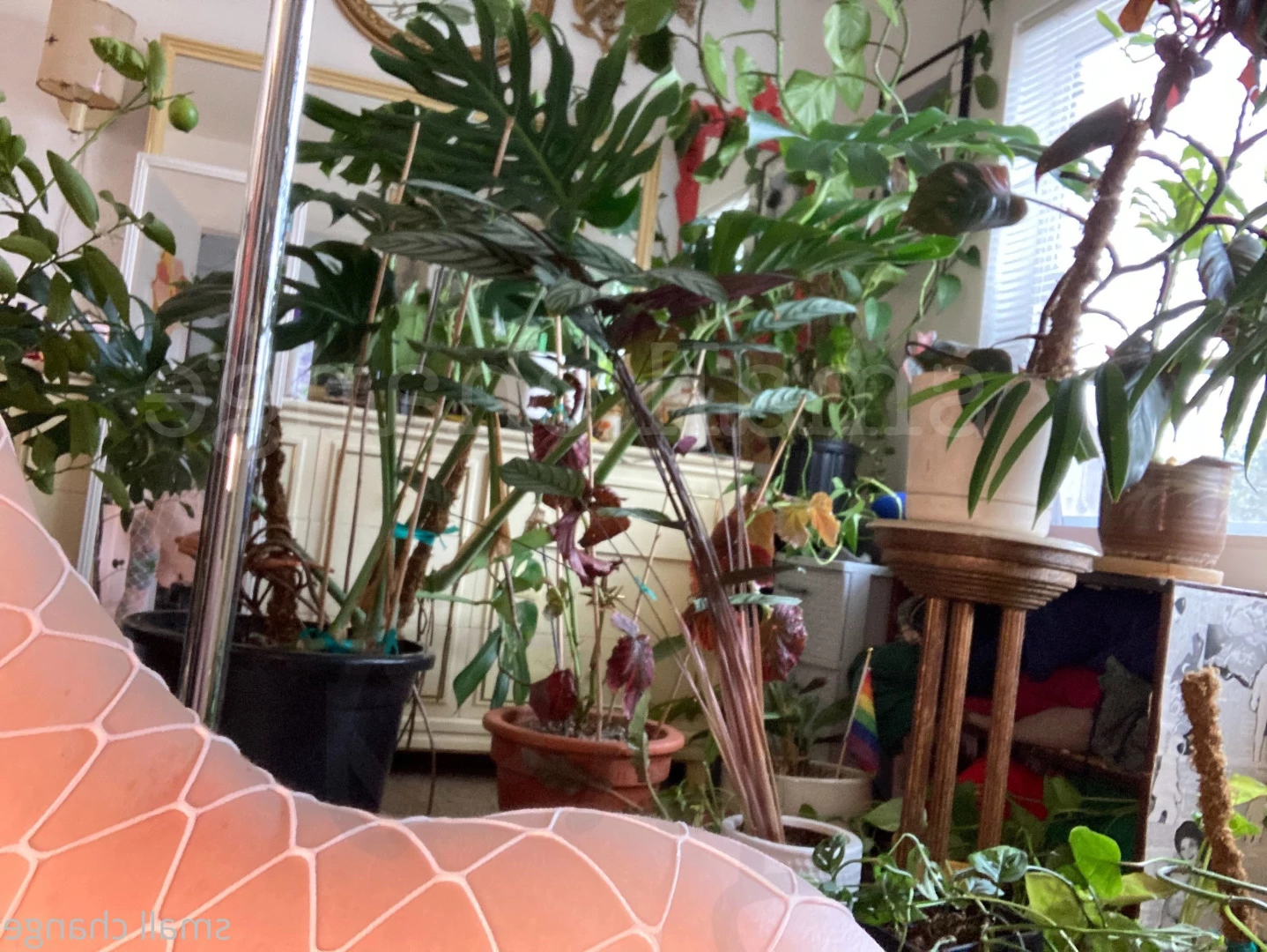 skippy * hairy pits + pussy * -on break- [ smallx69change ] Onlyfans leaked photo 9077845 on Hotleaks.tv