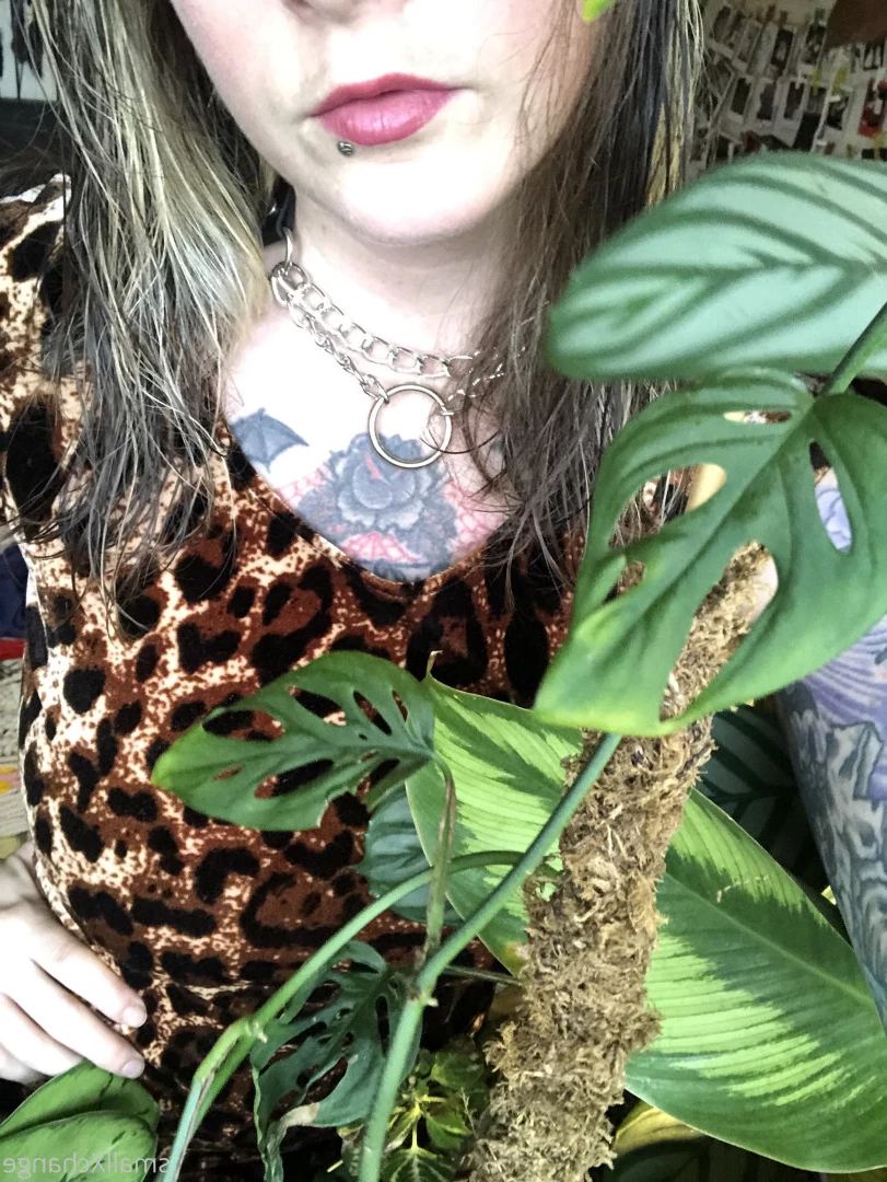 skippy * hairy pits + pussy * -on break- [ smallx69change ] Onlyfans leaked photo 9080738 on Hotleaks.tv