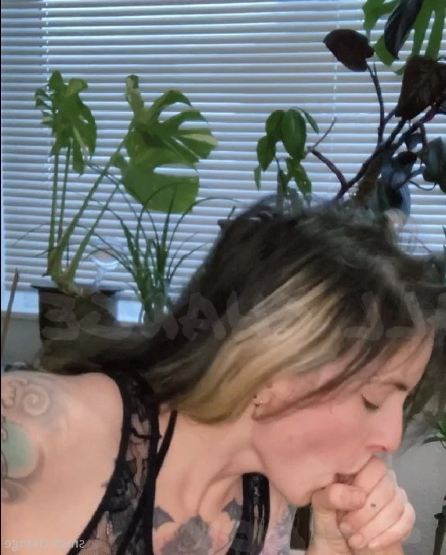 skippy * hairy pits + pussy * -on break- [ smallx69change ] Onlyfans leaked photo 9084127 on Hotleaks.tv