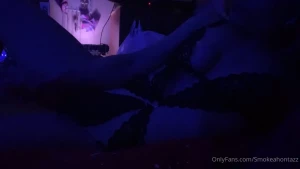 7964146