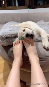 snowonshoes Onlyfans leaked video 7963863 on Hotleaks.tv