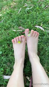 7963884