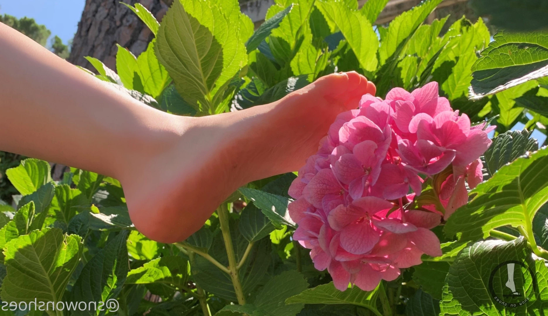 snowonshoes Onlyfans leaked photo 11322500 on Hotleaks.tv