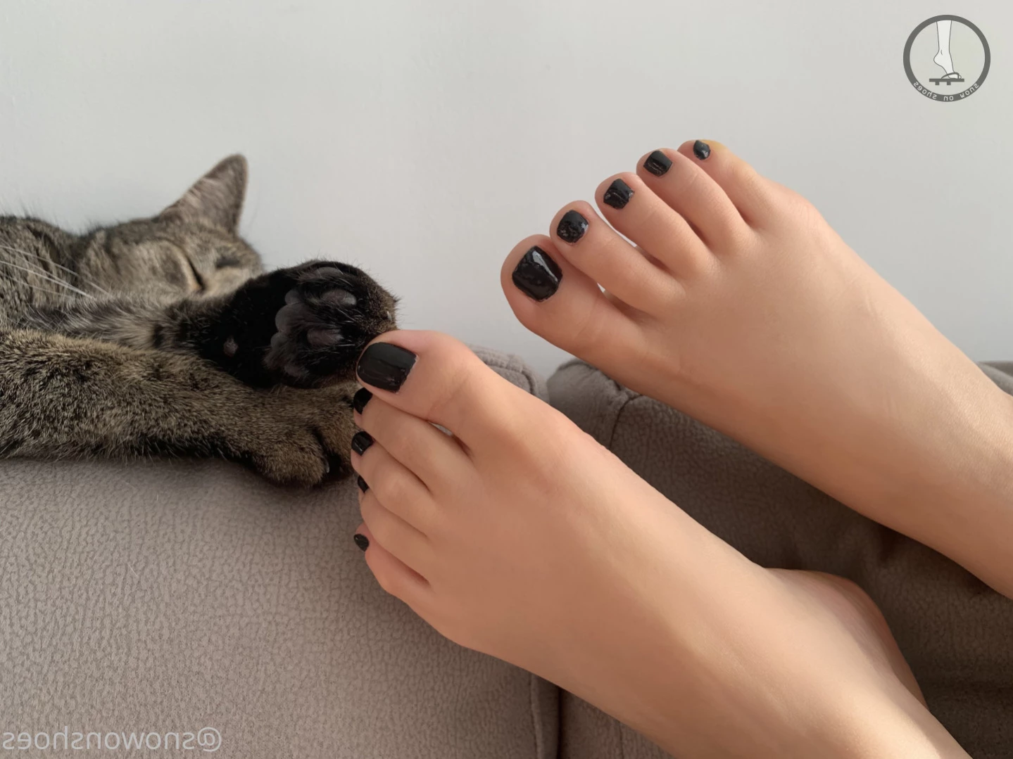 snowonshoes Onlyfans leaked photo 11324855 on Hotleaks.tv