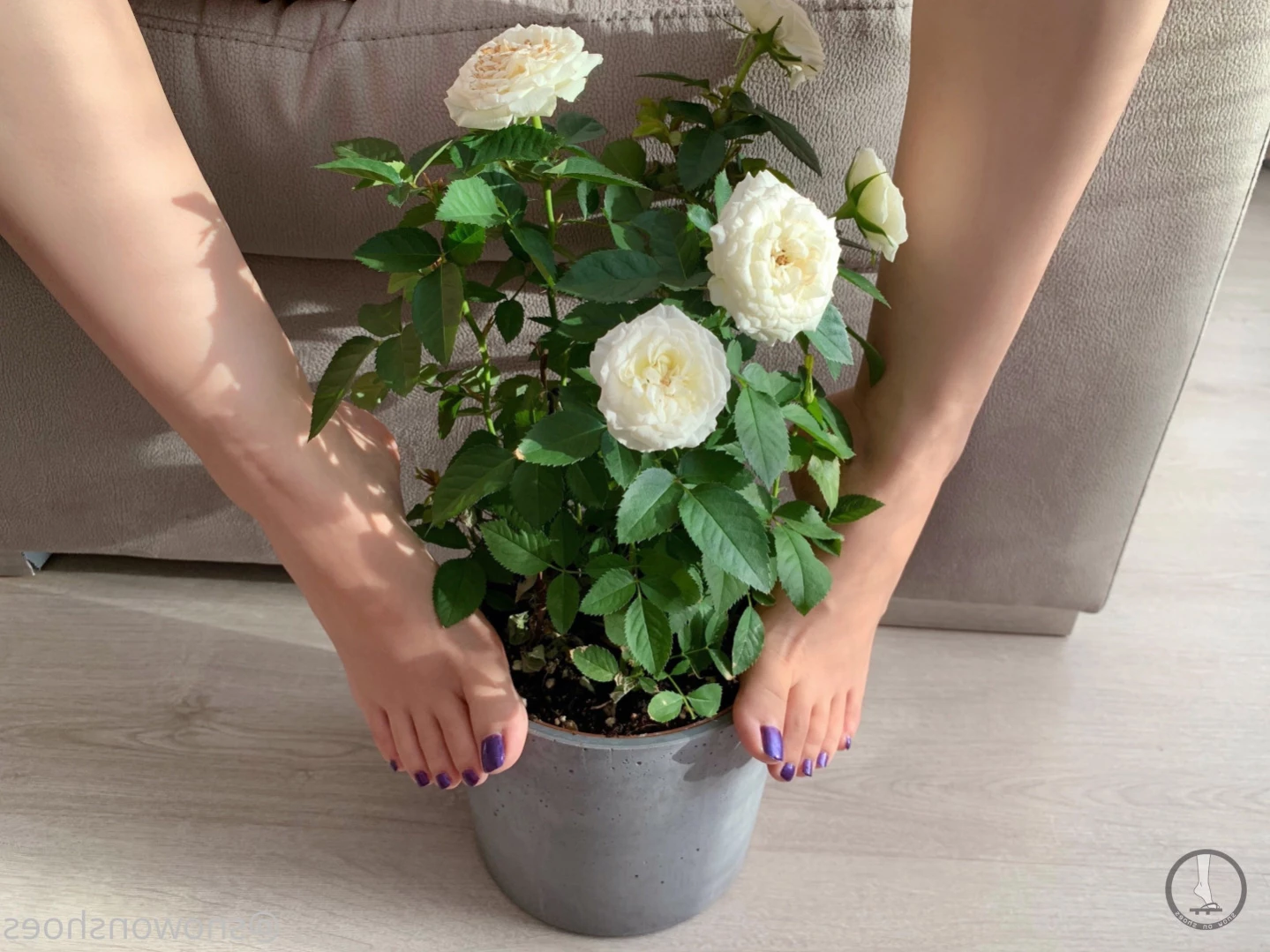 snowonshoes Onlyfans leaked photo 11335390 on Hotleaks.tv