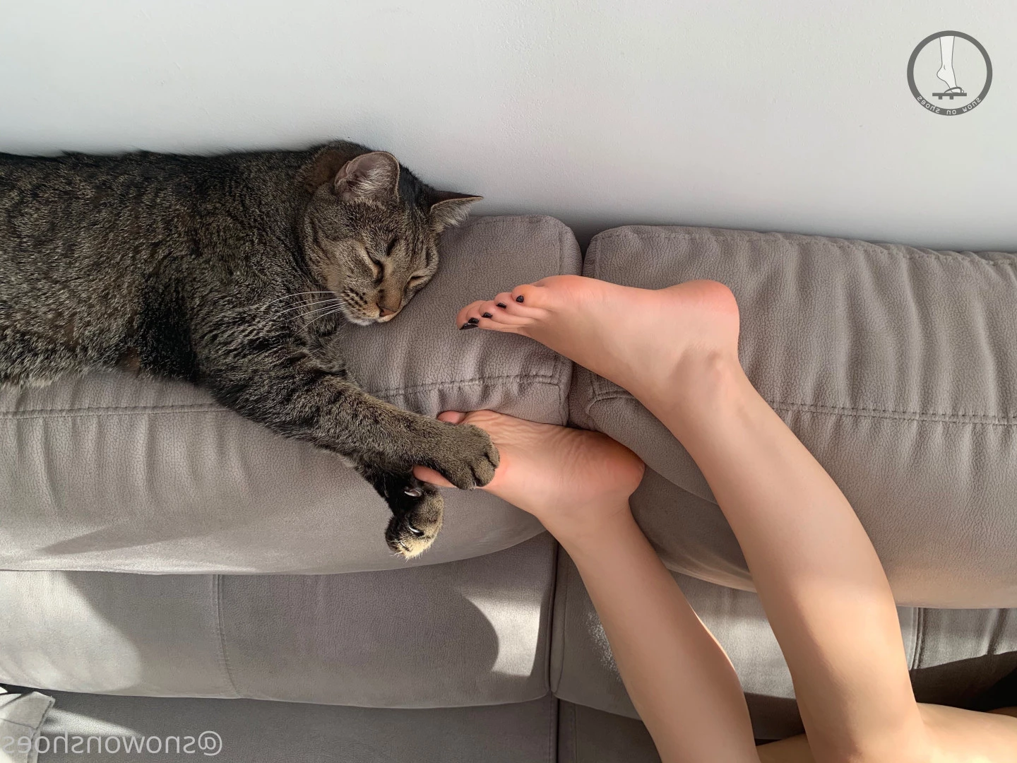 snowonshoes Onlyfans leaked photo 11384825 on Hotleaks.tv