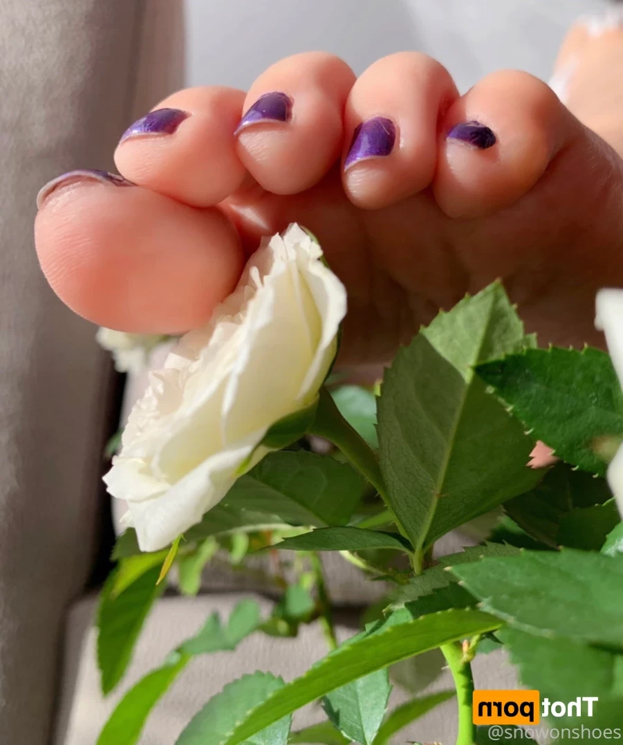 snowonshoes Onlyfans leaked photo 13028205 on Hotleaks.tv