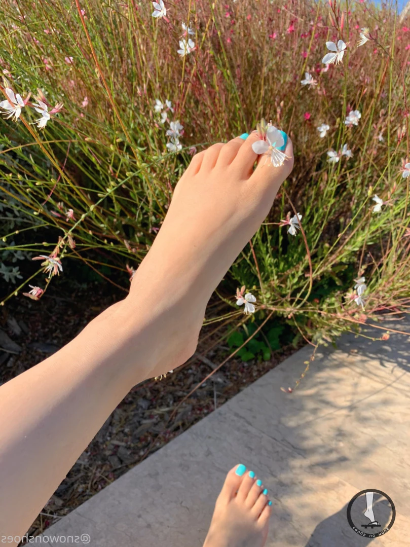 snowonshoes Onlyfans leaked photo 13057038 on Hotleaks.tv