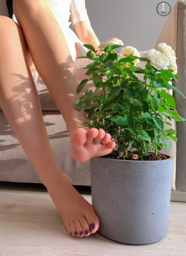 snowonshoes Onlyfans leaked photo 13194963 on Hotleaks.tv