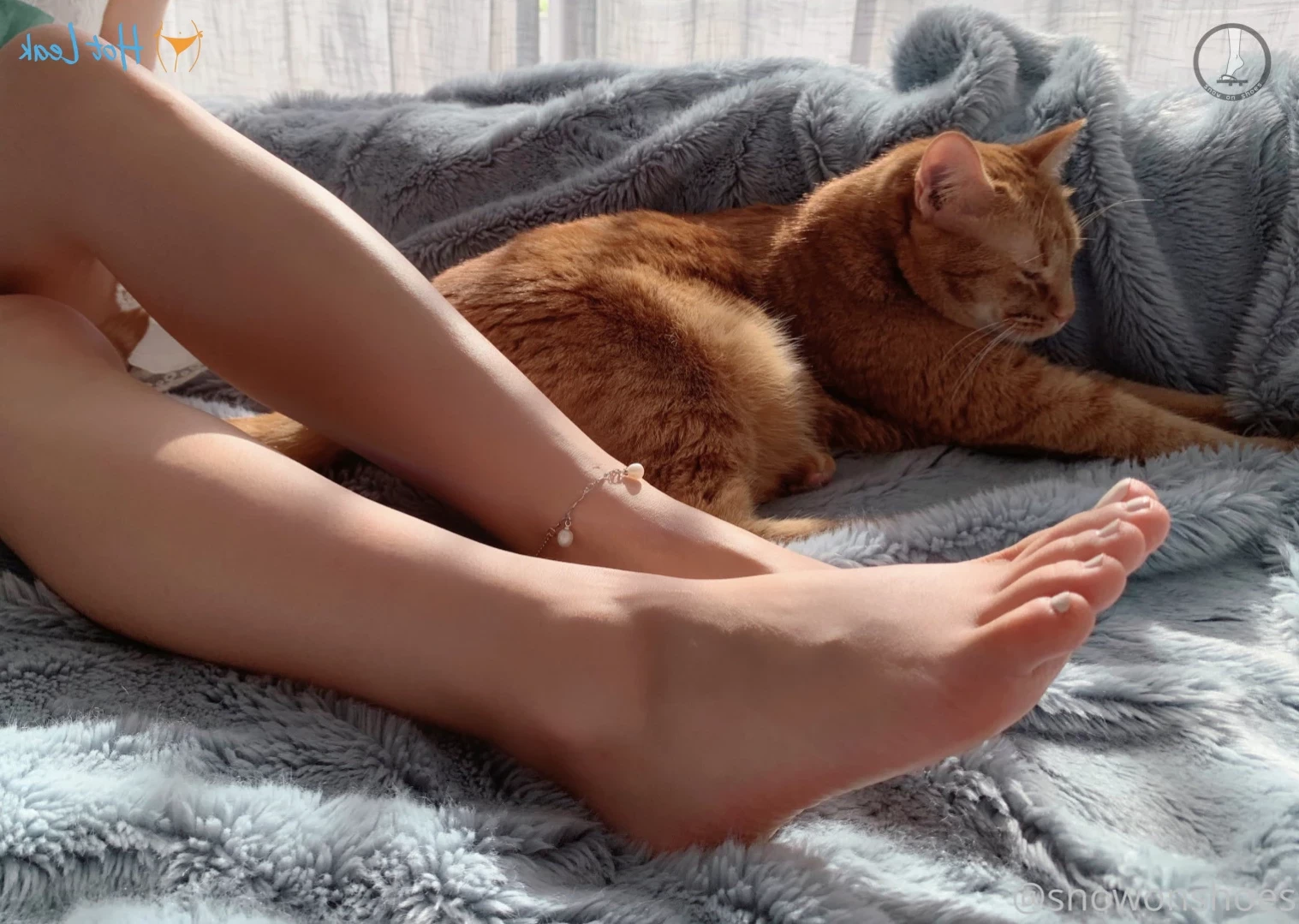 snowonshoes Onlyfans leaked photo 13675508 on Hotleaks.tv