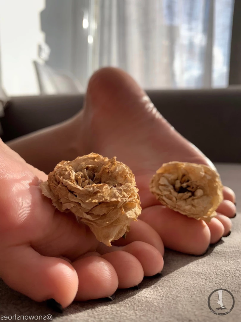 snowonshoes Onlyfans leaked photo 13680067 on Hotleaks.tv