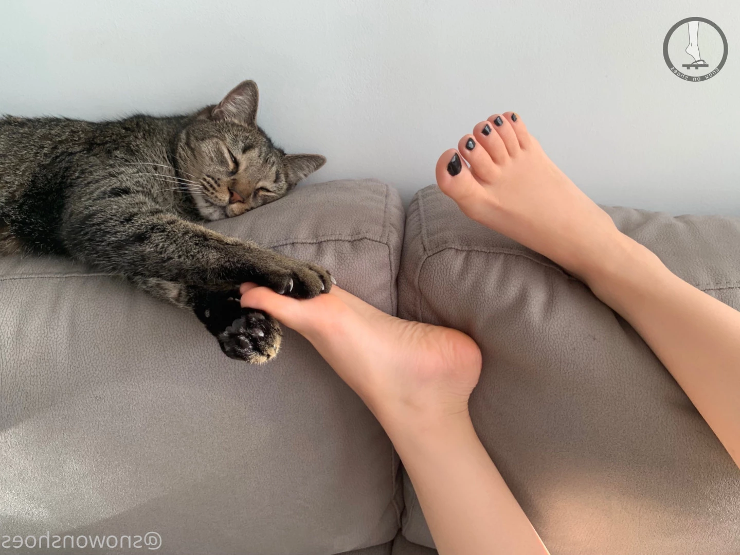 snowonshoes Onlyfans leaked photo 13718635 on Hotleaks.tv