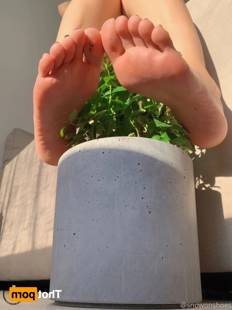 snowonshoes Onlyfans leaked photo 14424502 on Hotleaks.tv