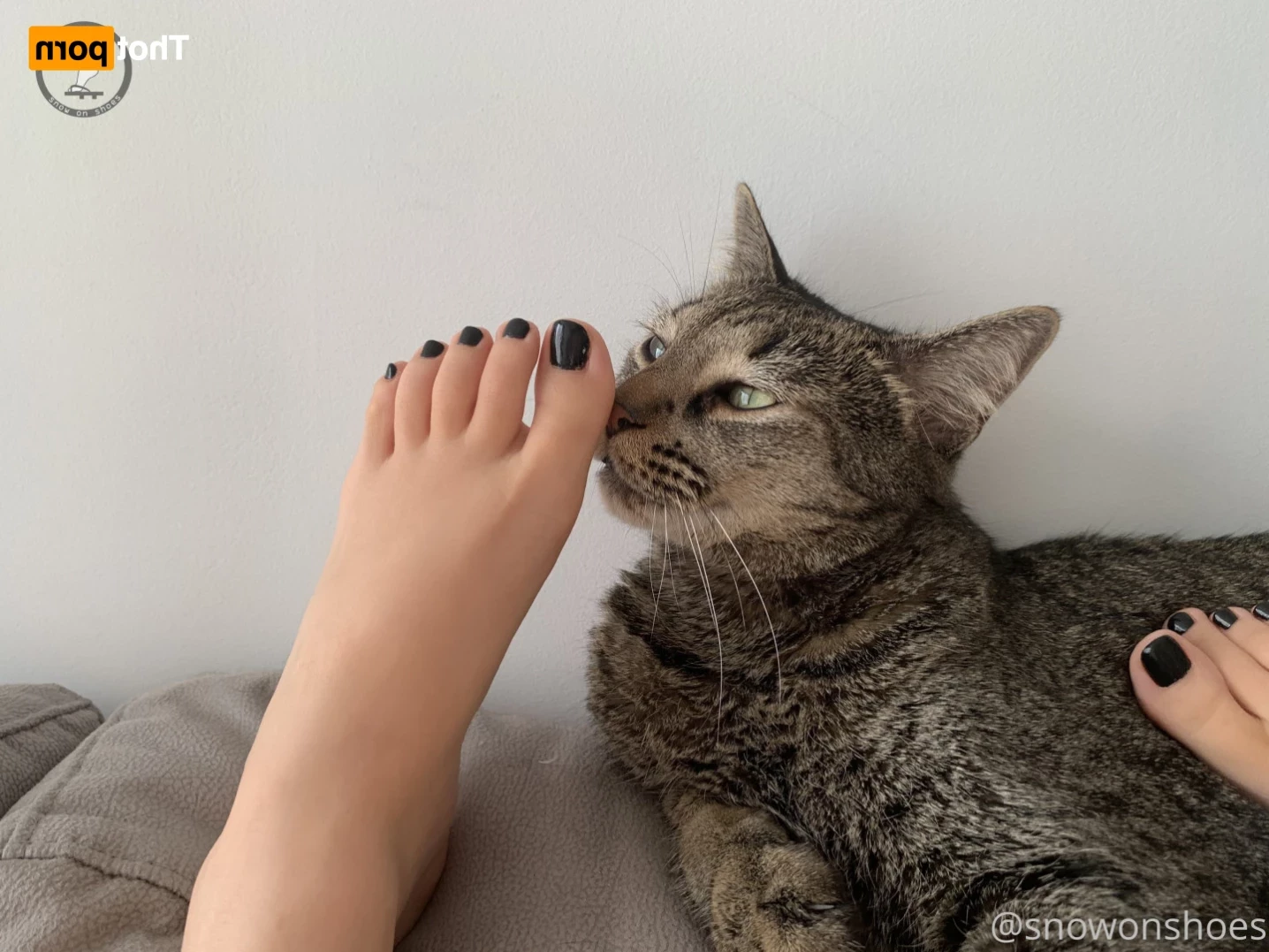 snowonshoes Onlyfans leaked photo 14895592 on Hotleaks.tv