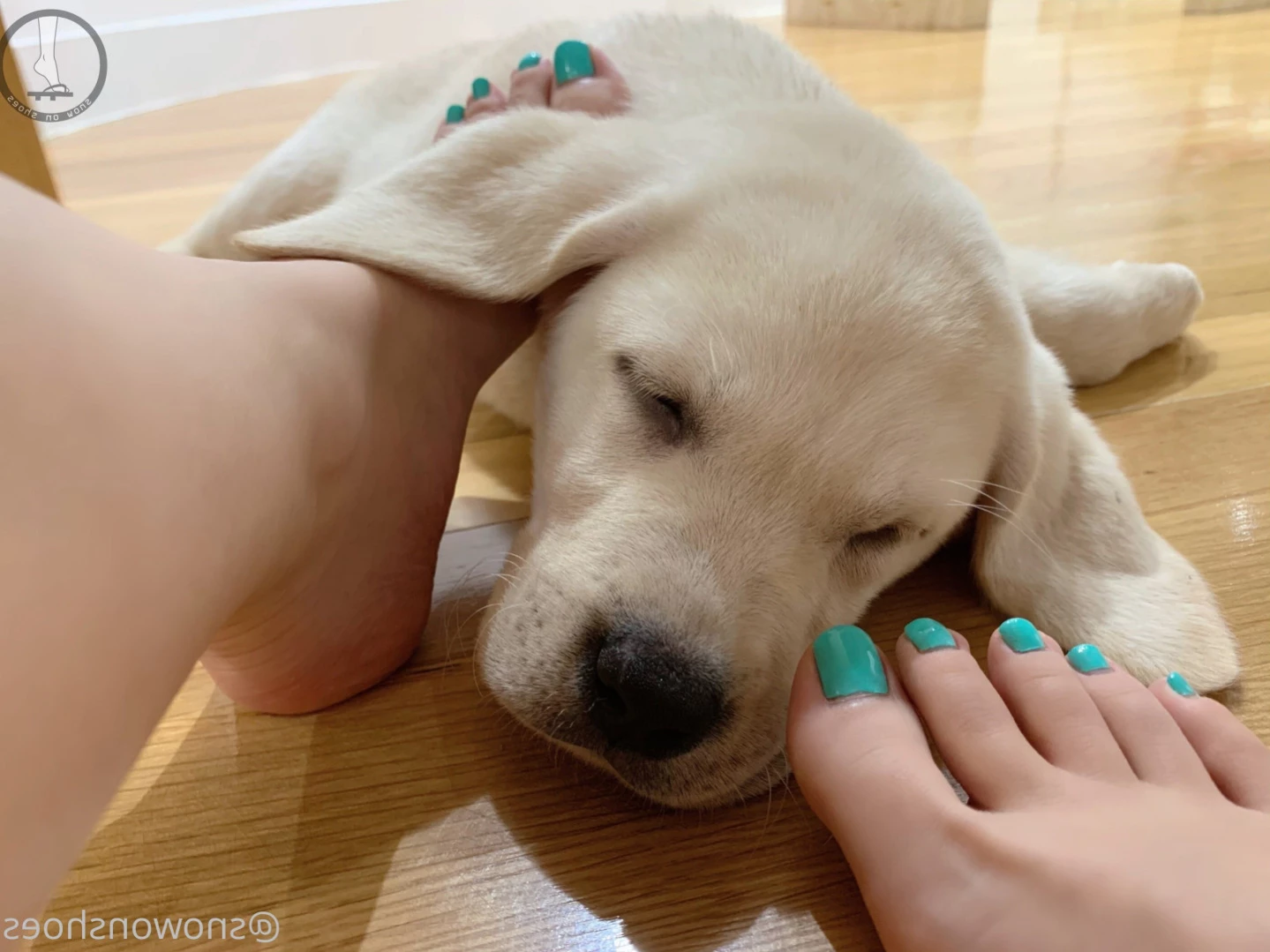 snowonshoes Onlyfans leaked photo 15631606 on Hotleaks.tv