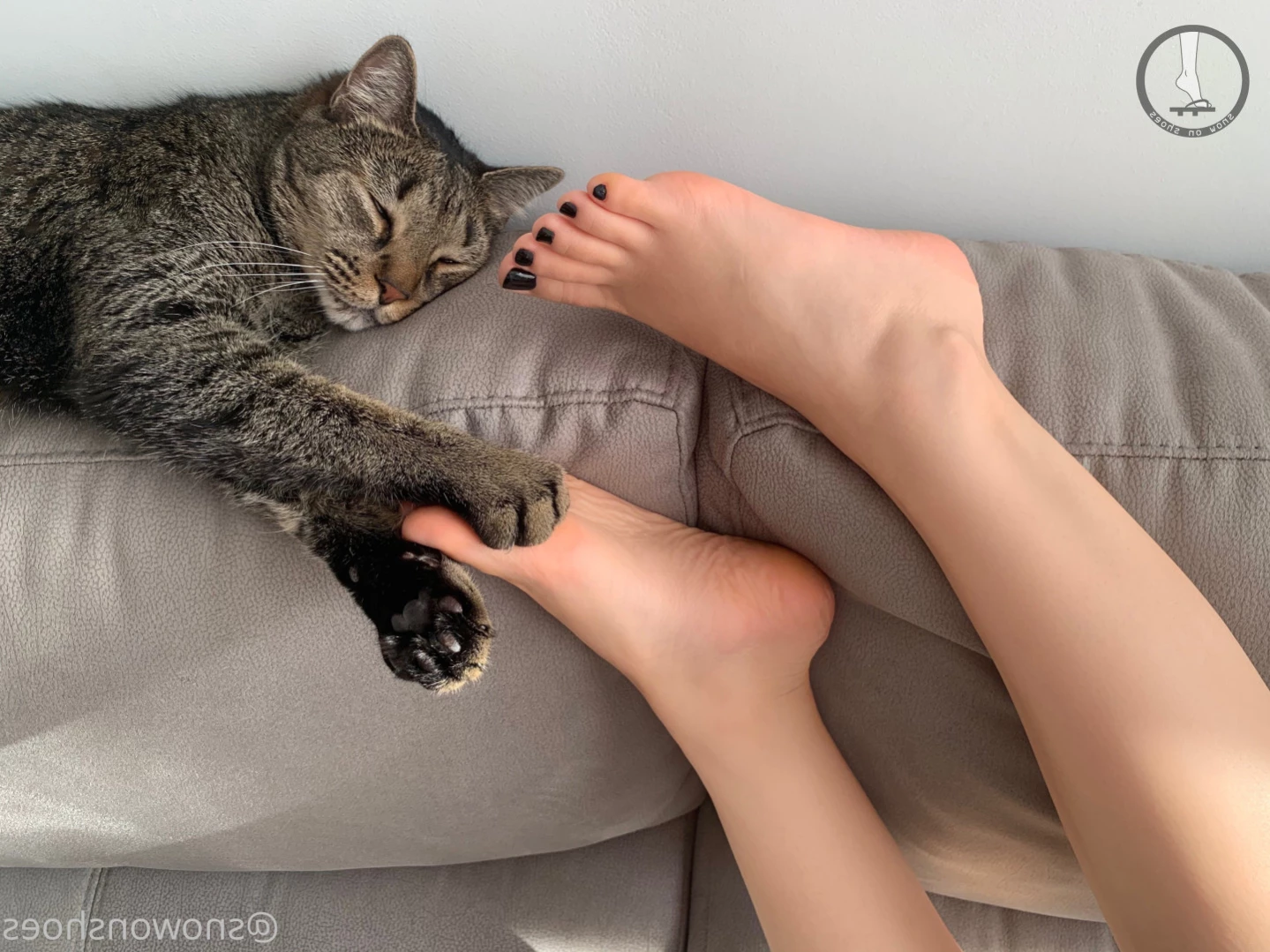 snowonshoes Onlyfans leaked photo 15929735 on Hotleaks.tv