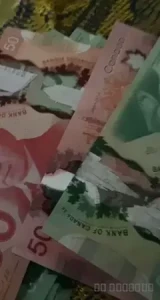7962833