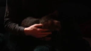 sonia_sparrow Onlyfans leaked video 18217818 on Hotleaks.tv