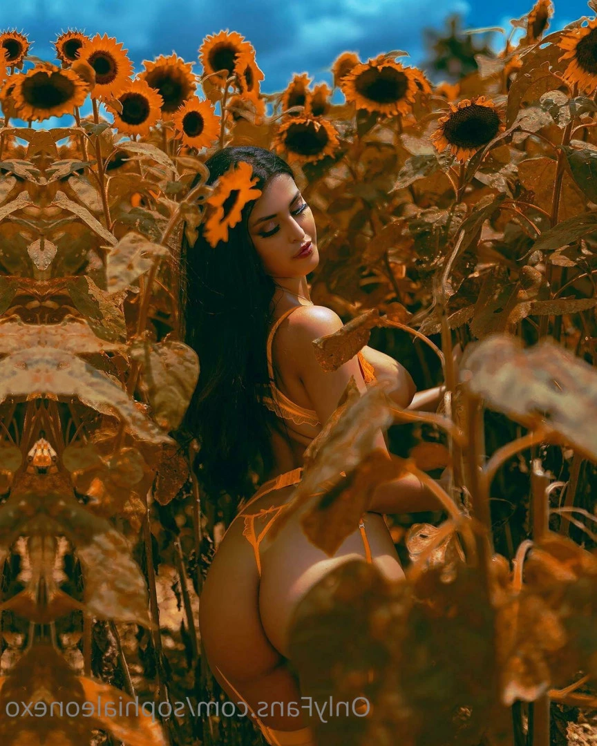 ѕσρнια ℓєσηє [ sophialeonexo ] Onlyfans leaked photo 9245870 on Hotleaks.tv