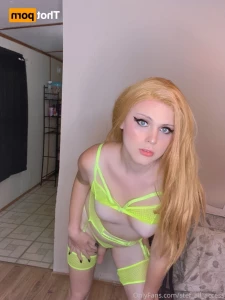 16279908