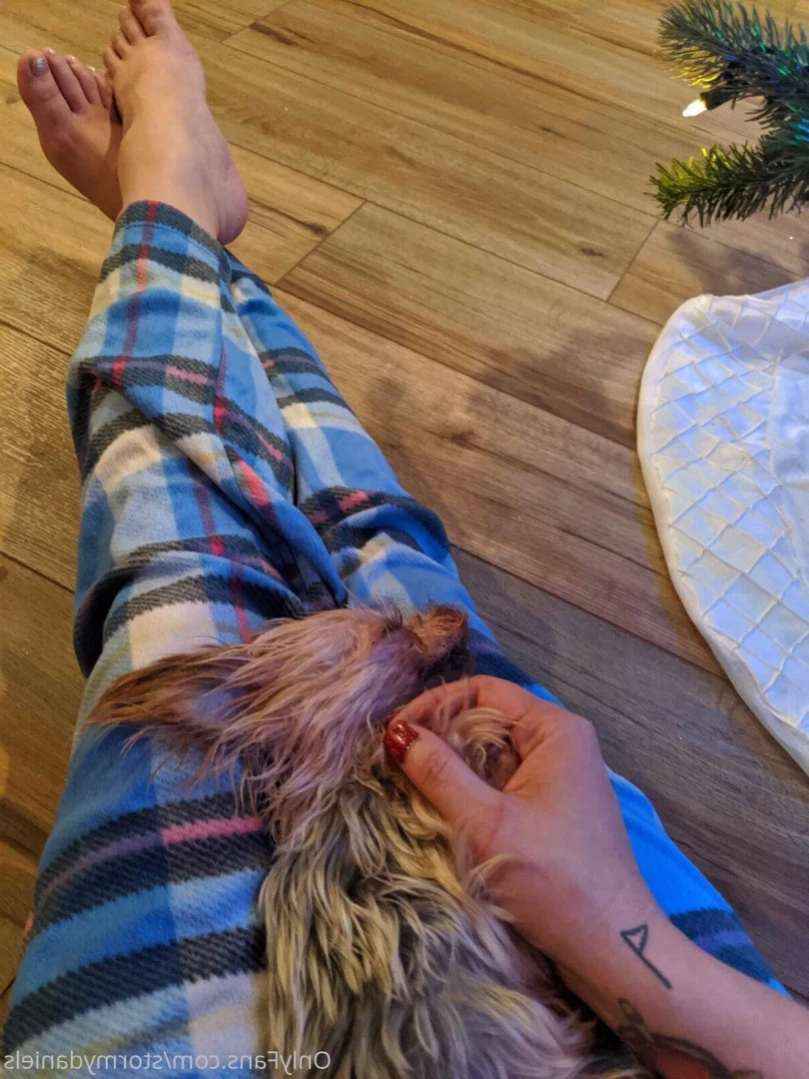 Stormy Daniels [ stormydaniels ] Onlyfans leaked photo 11846937 on Hotleaks.tv