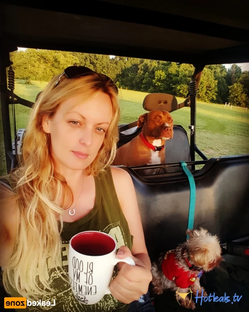 Stormy Daniels [ stormydaniels ] Onlyfans leaked photo 14760260 on Hotleaks.tv