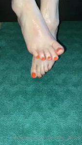 7958109